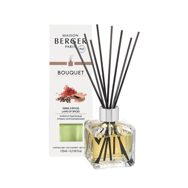Bouquet Cube mit Stäbchen - Terre d'Epices 125 ml