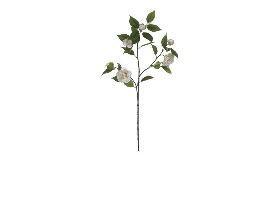 BRUCO F3334BCx