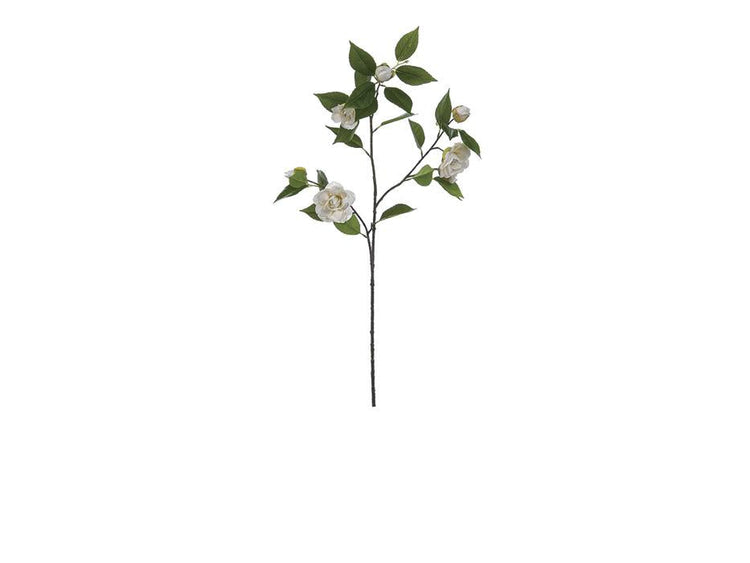 BRUCO F3334BCx