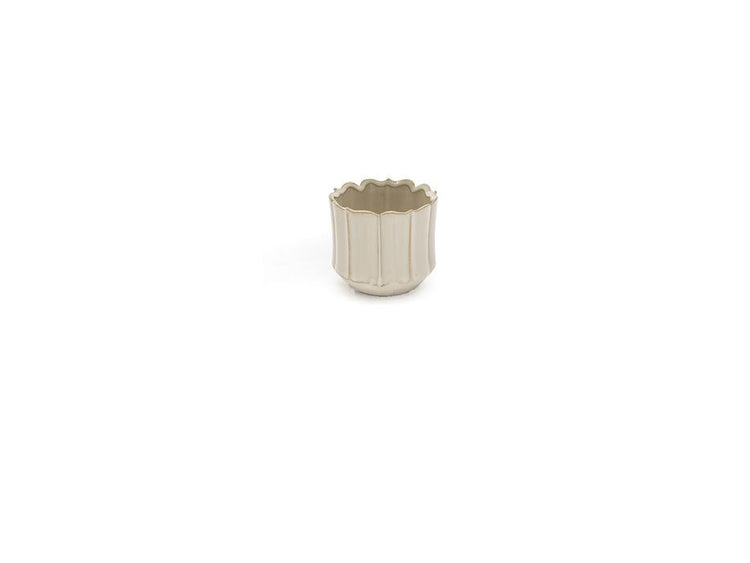 BRUCO B8161BCx