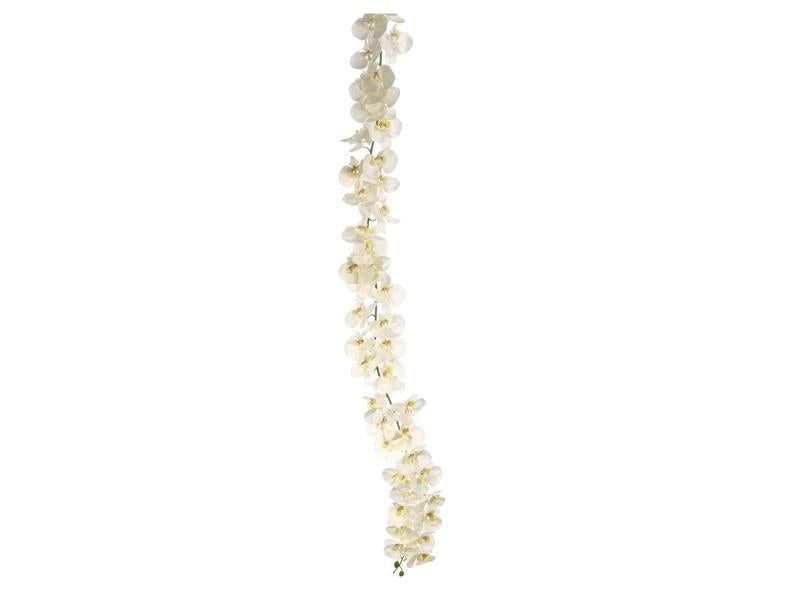 GIRLANDE PHALAENOPSIS CM170 BIANCOa