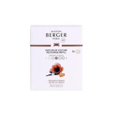 Maison Berger Paris 006974X