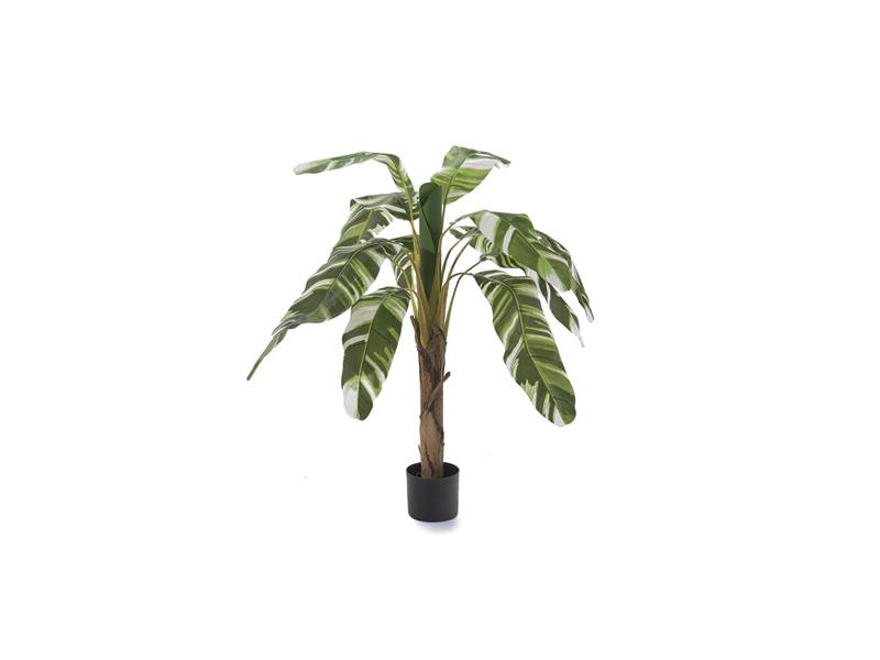 BRUCO B8262x