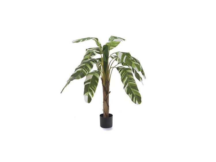 BRUCO B8262x