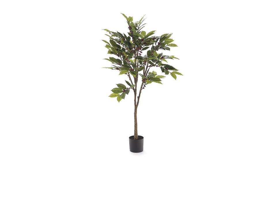 BRUCO B8265x