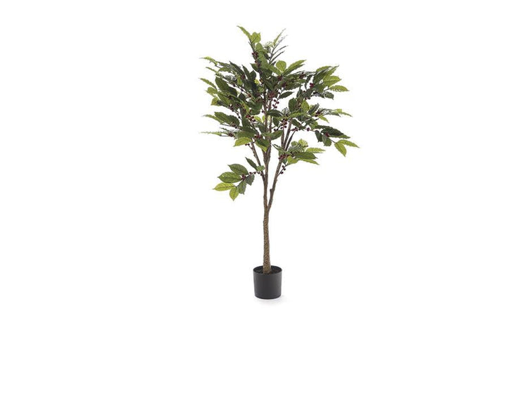 BRUCO B8265x