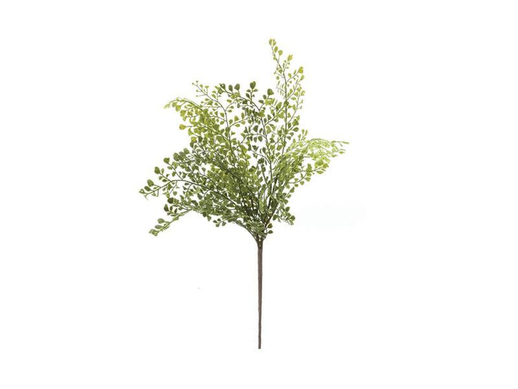 BRUCO F3067x
