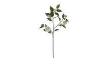 BRUCO F3334BCx